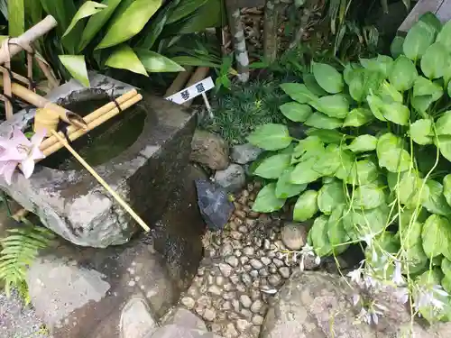 眞珠院(静岡県)