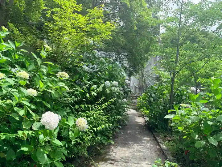 南法華寺(壷阪寺)(奈良県)