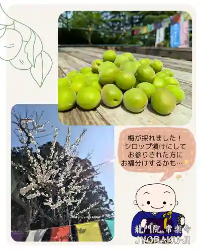 【公式】龍門院常楽寺（秩父札所十一番）(埼玉県)