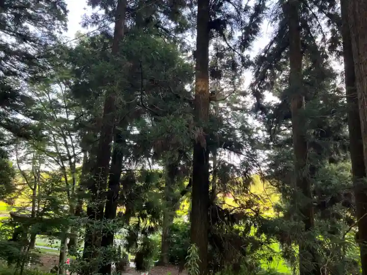 大宮温泉神社(栃木県)