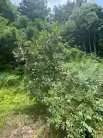 国上寺(新潟県)