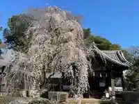 弘法寺(千葉県)