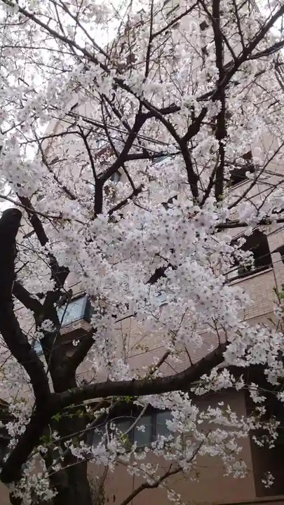 秋葉神社(東京都)