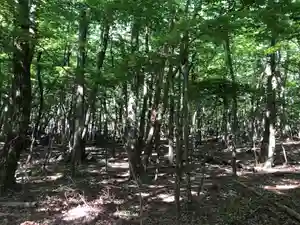 信行寺の自然(2021年06月05日(土) 08時17分49秒投稿)