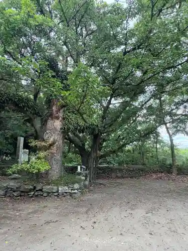 恩山寺奥の院(金礒弁財天)(徳島県)