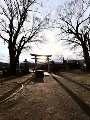 白鳥神社の鳥居