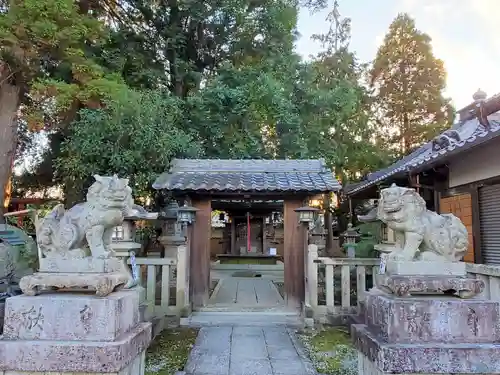 鷹飼八幡神社の狛犬