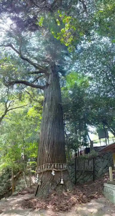 高嶺神社(兵庫県)