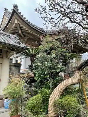 本龍寺(東京都)