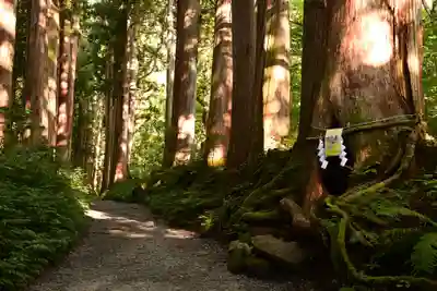 戸隠神社奥社(長野県)