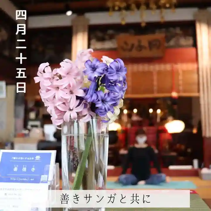 壽徳寺 じゅとくじ(福島県)