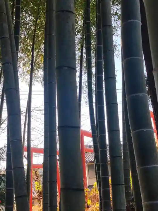 小川諏訪神社(福島県)