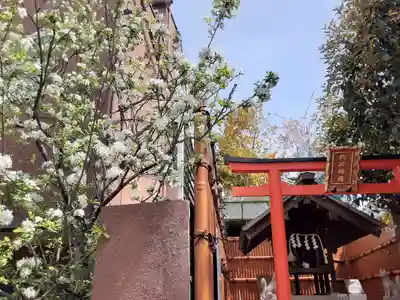 代沢稲荷の鳥居