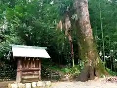 初生衣神社の本殿