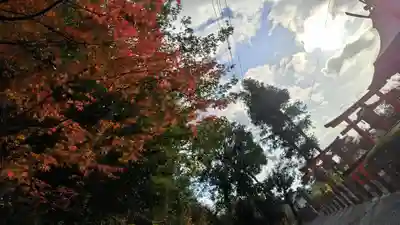吉田神社(京都府)