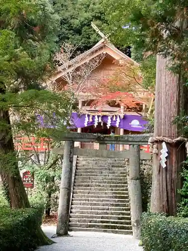 高鴨神社の鳥居