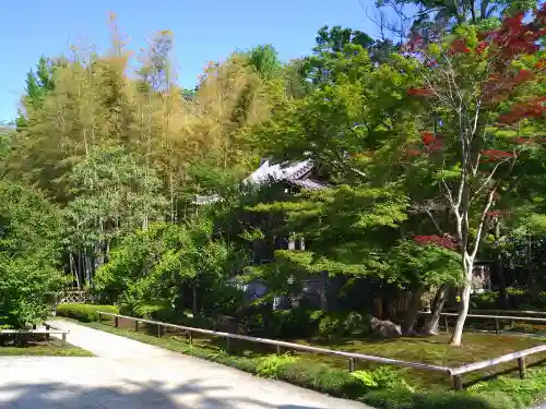 宝珠山　観泉寺(東京都)