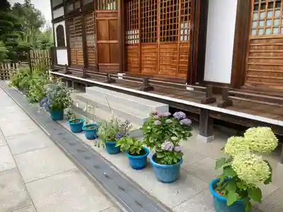 松嶺院(神奈川県)