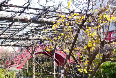 亀戸天神社(東京都)
