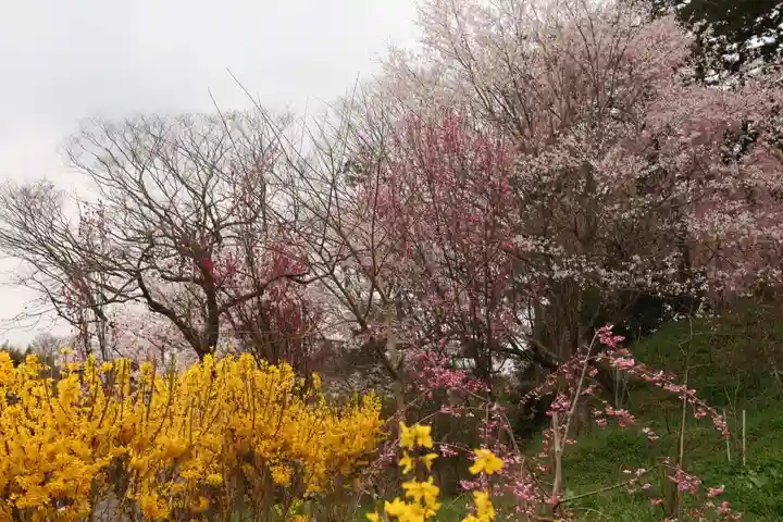 阿久津「田村神社」(郡山市阿久津町)旧社名:伊豆箱根三嶋三社の庭園
