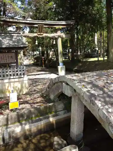 柏木神社の鳥居