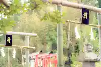神谷稲荷明神社の鳥居