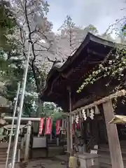 座間神社(神奈川県)