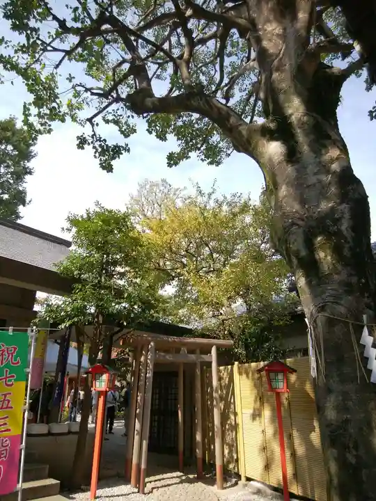 蛇窪神社(東京都)