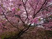 永谷天満宮の自然