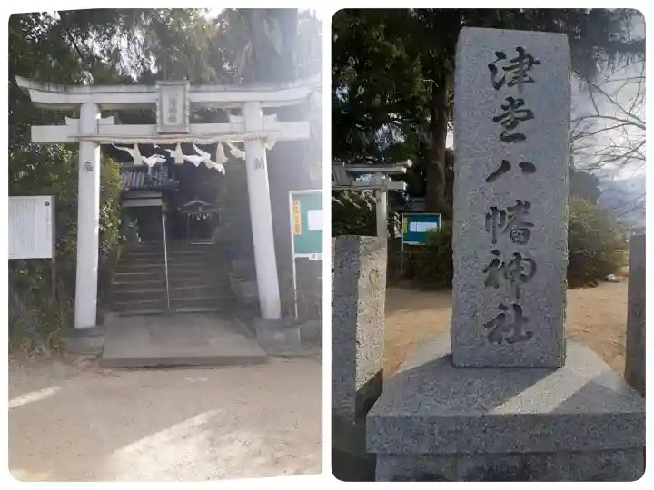 津堂八幡神社の{uncategorized: "未分類", other: "その他", undefined: "問題あり", building: "その他建物", grave: "お墓", sacred_gate: "鳥居", guardian: "狛犬", statue: "像", buddha: "仏像", history: "歴史", nature: "自然", garden: "庭園", animal: "動物", pagoda: "塔", temizu: "手水舎", mountain_gate: "山門・神門", sanctuary: "本殿・本堂", subordinate: "末社・摂社", art: "芸術", scenery: "景色", jizo: "地蔵", ema: "絵馬", goshuin: "御朱印", omikuji: "おみくじ", items: "授与品その他", amulet: "お守り", goshuincho: "御朱印帳", eats: "食事", festival: "お祭り", votive_dance: "神楽", shichigosan: "七五三参", wedding: "結婚式", experience: "体験その他", initially: "初詣", around: "周辺", anti_infection: "感染症対策"}