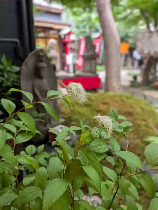 陽運寺(東京都)