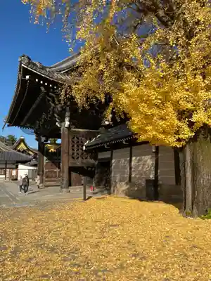 本願寺（西本願寺）のその他建物