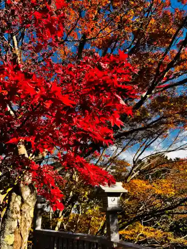 大山阿夫利神社(神奈川県)