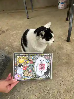 鎌数伊勢大神宮の御朱印