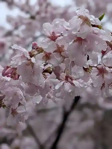 熊野神社(東京都)