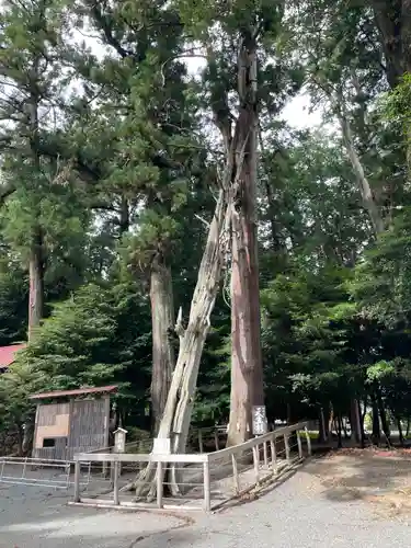 渭伊神社(静岡県)