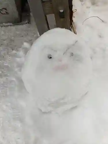 札幌諏訪神社の体験その他