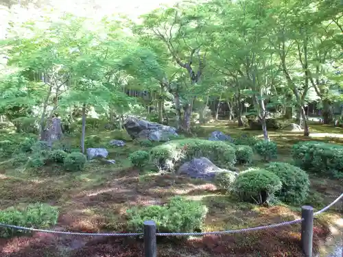 圓光寺の庭園