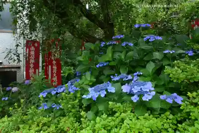 弘明寺(神奈川県)