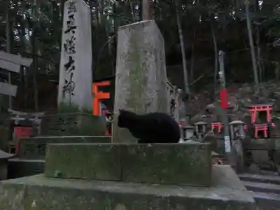 伏見稲荷大社(京都府)