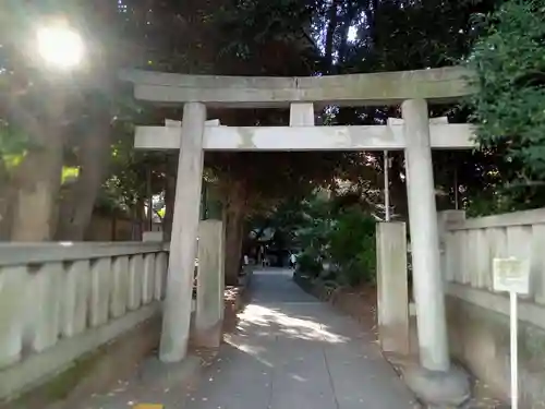 渋谷氷川神社の鳥居