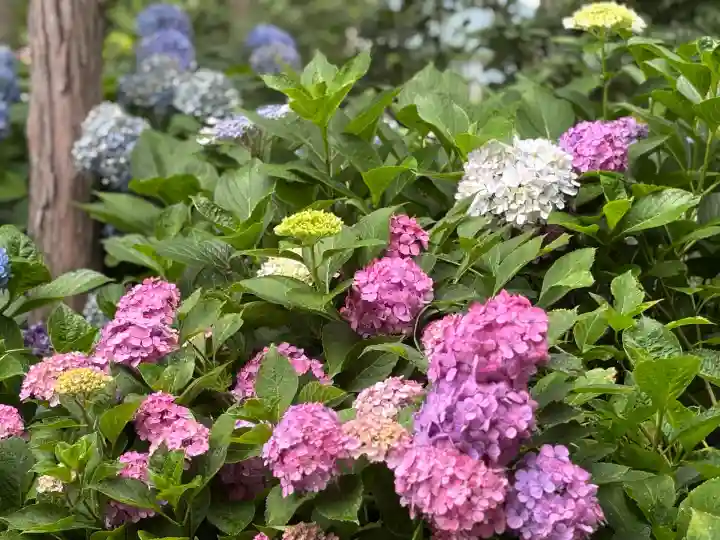 西野神社(北海道)