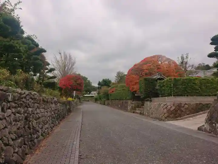 諏訪神社(鹿児島県)