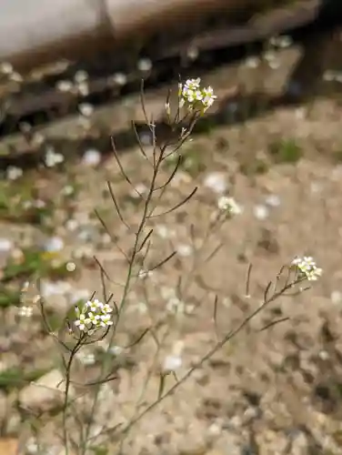  智積院(京都府)