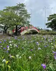 賀茂神社の自然