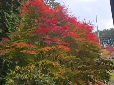 日間神社(兵庫県)