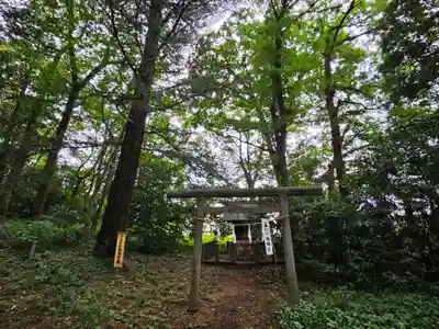 三ケ尻八幡神社(埼玉県)