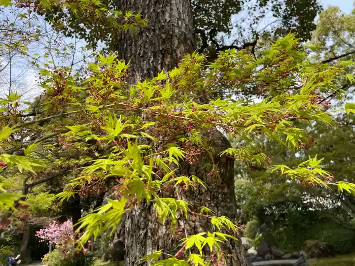 城南宮(京都府)