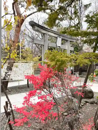 彌彦神社　(伊夜日子神社)の鳥居