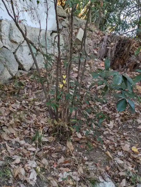 石内のお大師さん 金剛院(広島県)